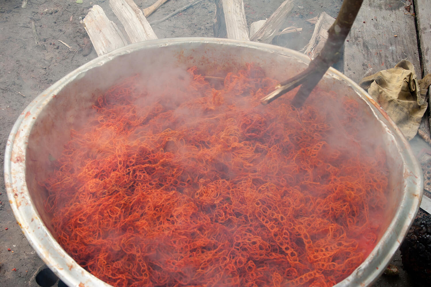 ACHIOTE 13_galeria_MG_1039.jpg